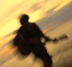 Kauai Musicians