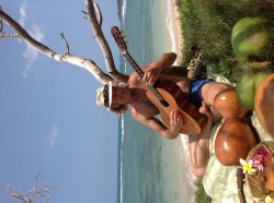 Kauai Musicians