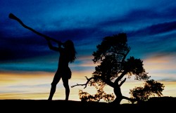 Kauai Musicians