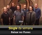 Soja.jpg